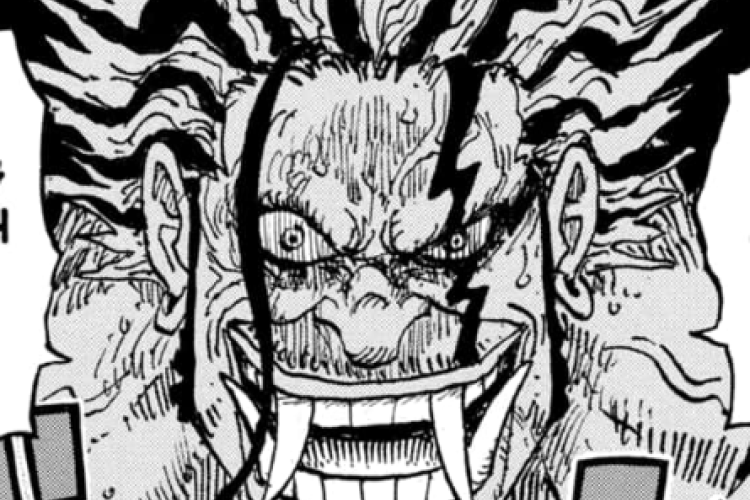 《航海王》: One Piece 第1165话 中文翻译 : 那些曾经的冠军的名字！